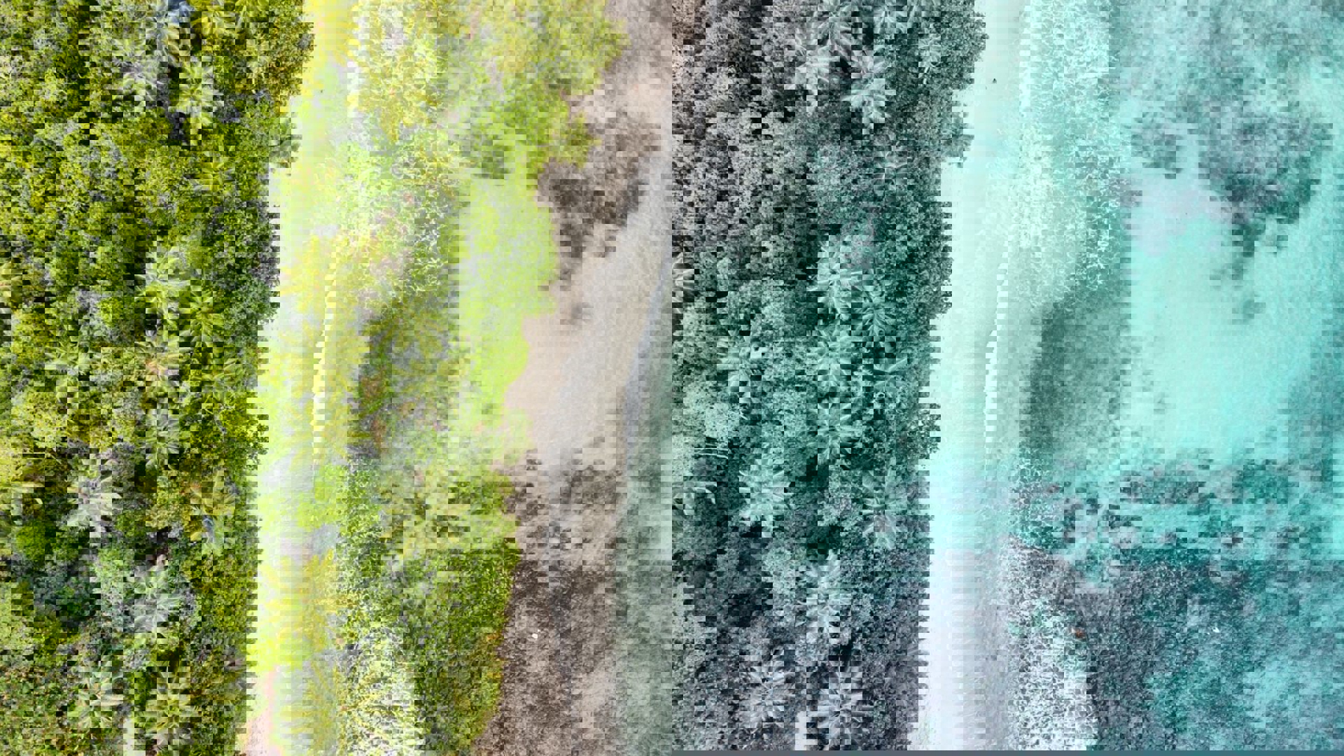 Strand met zee van boven