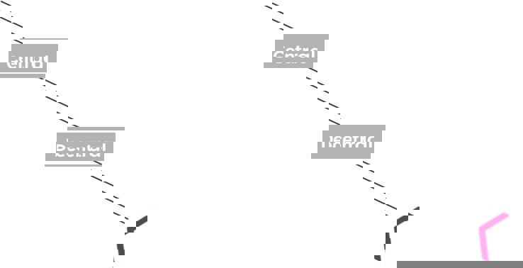 Flowchart centraal/decentraal