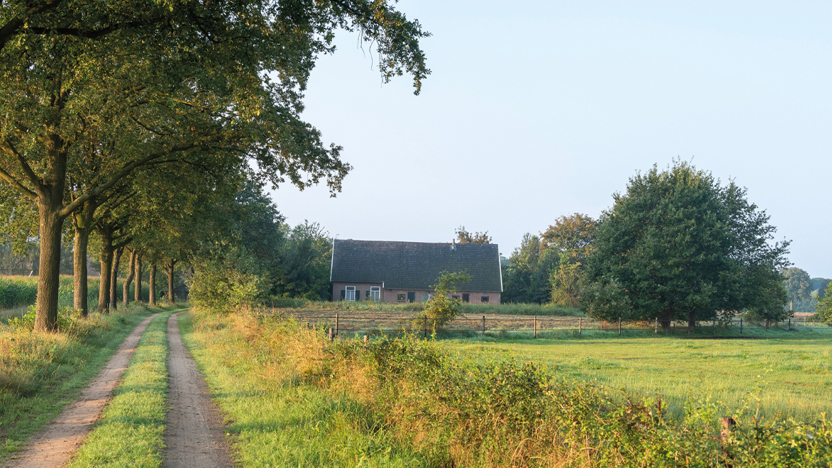 Een wei met een boerderij in de gemeente Zevenaar