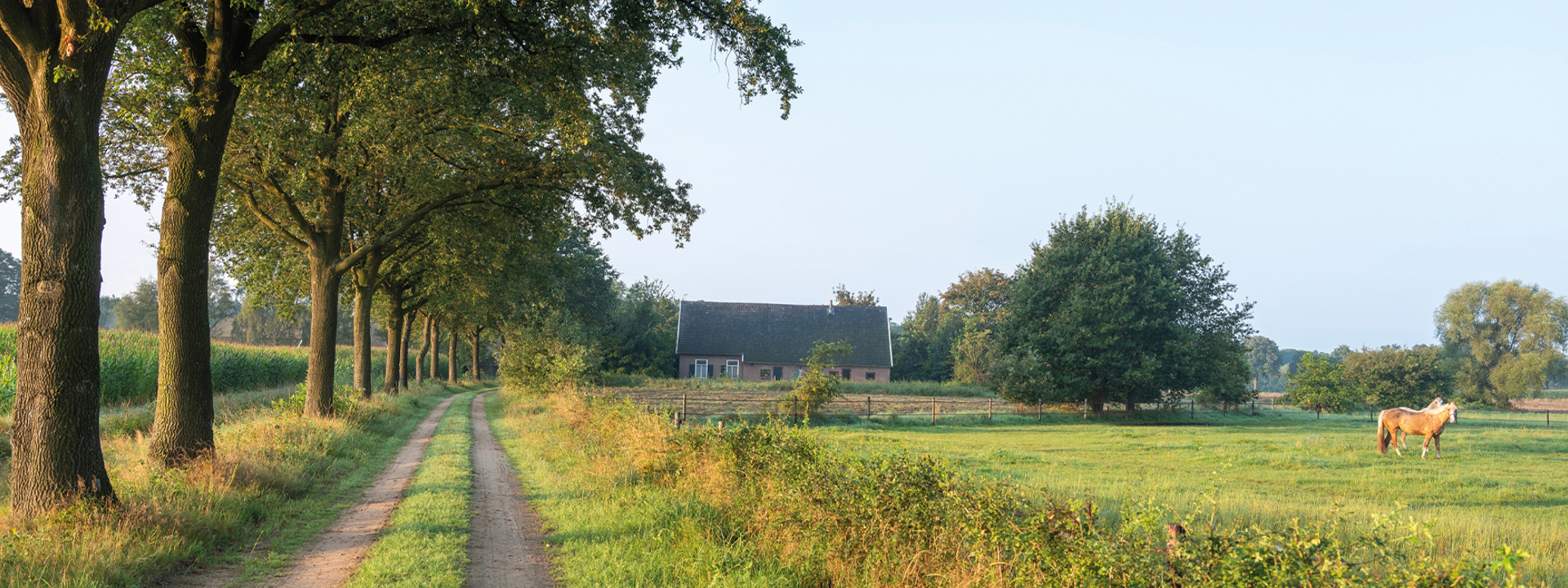 Een wei met een boerderij in de gemeente Zevenaar