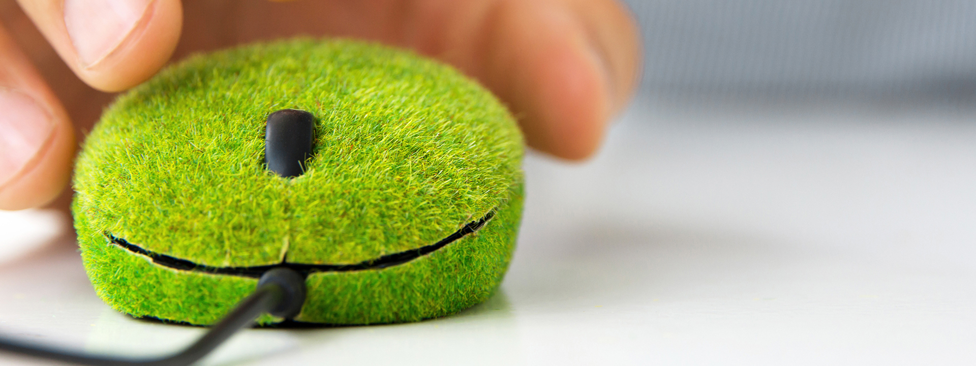 Een muis gemaakt van gras, ter ondersteuning aan het blog over Green IT