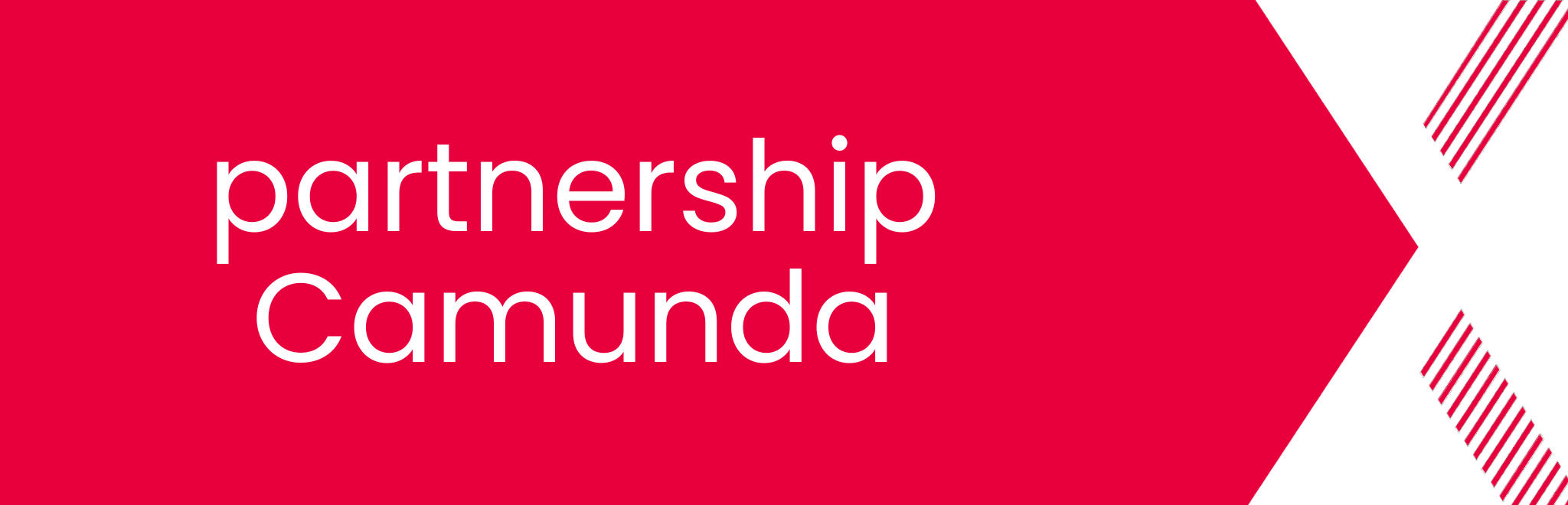 Banner met partnership Camunda erop