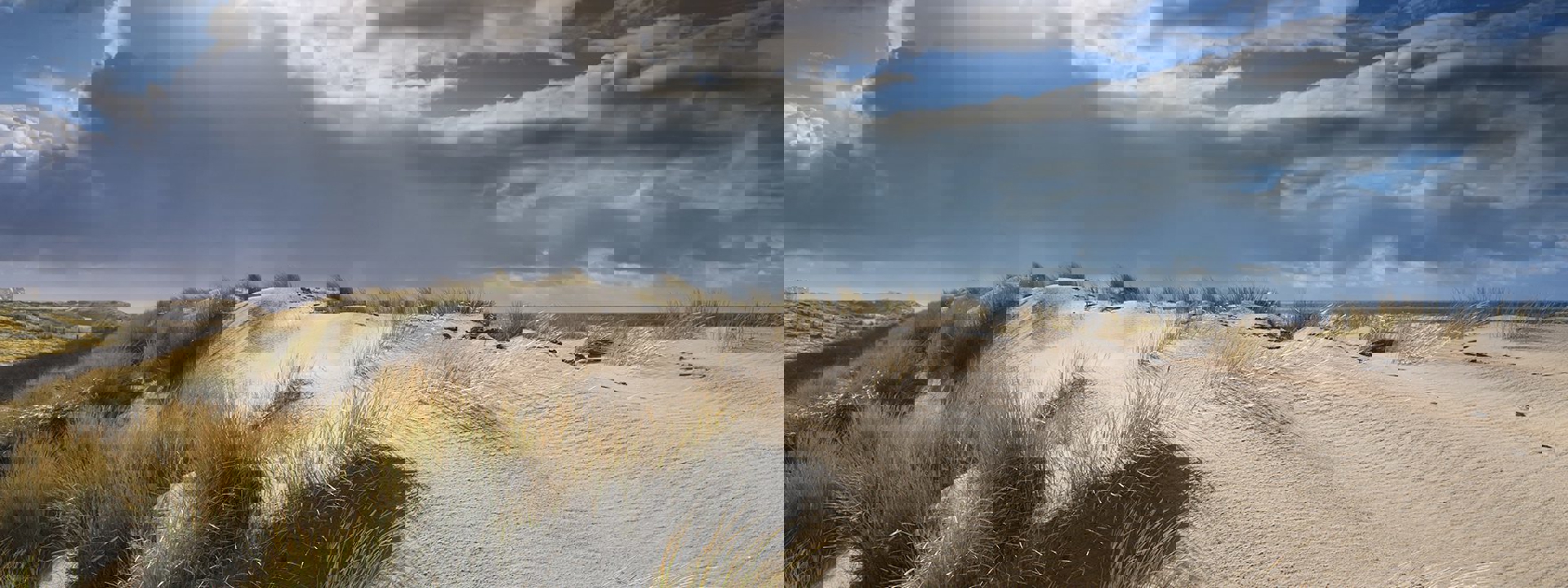 Gemeente Noordwijk | datagedreven werken