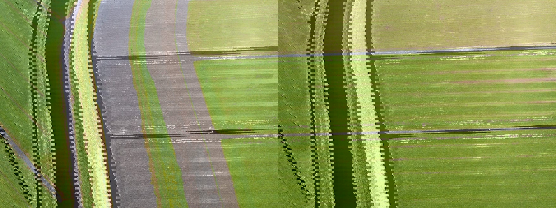 datagedreven organisatie