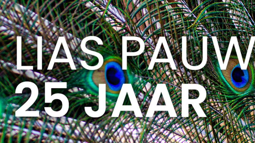 Header PAUW Relatiedag