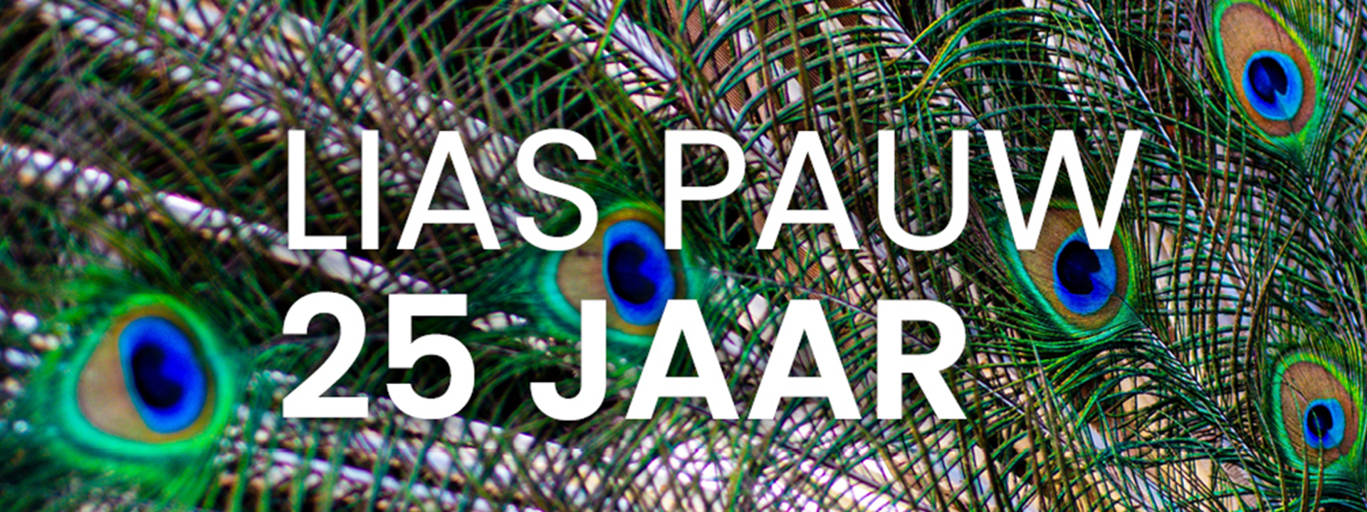 Header PAUW Relatiedag