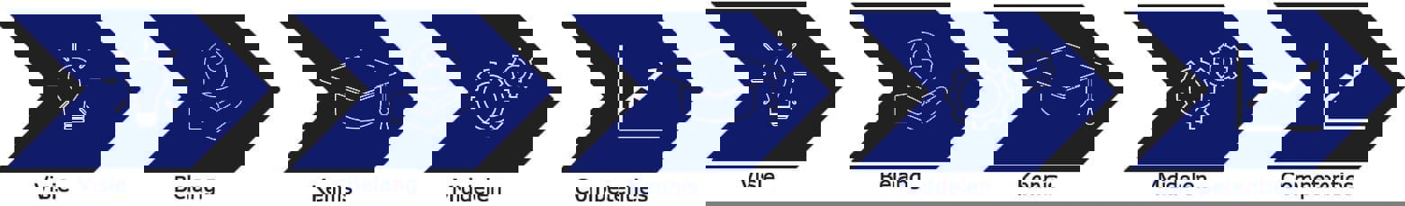 Videobellen stappenplan