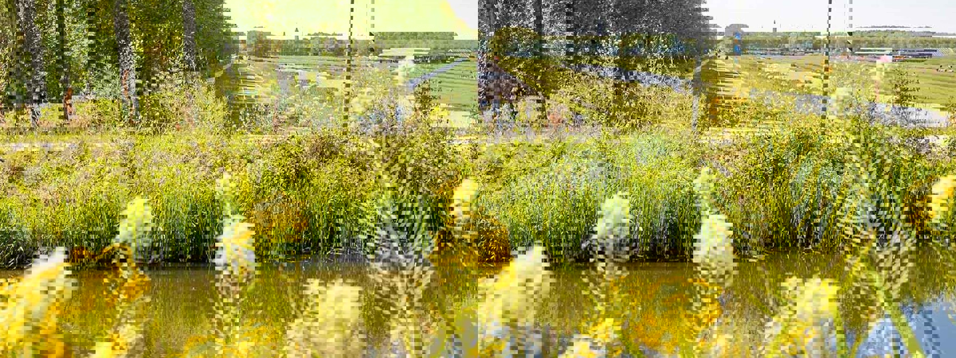 Gemeente Pijnacker-Nootdorp