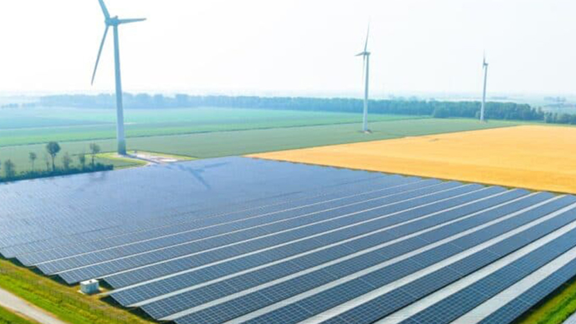 EDSN groot veld met zonnepanelen