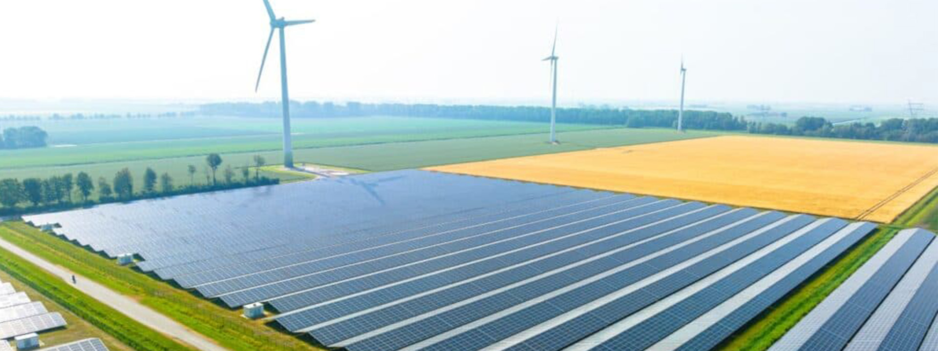 EDSN groot veld met zonnepanelen