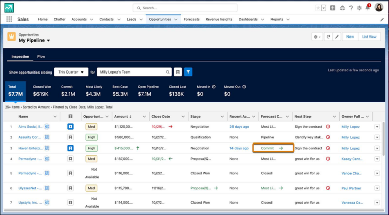 Salesforce Revenue intelligence voorbeeld