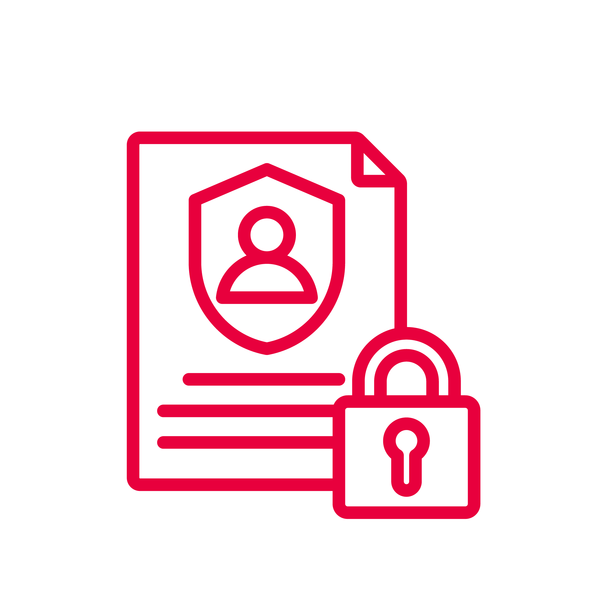 Icon met een document over persoonsgegevens en een beveiligingsslot