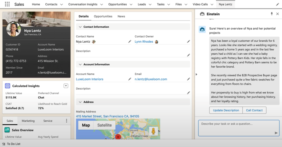 Salesforce einstein applicatie voorbeeld
